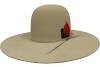 Resistol® 7X Chute 5 5 Inch Brim Felt Cowboy Hat - Black / Silver Belly / Chocolate